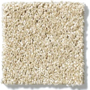 multi carpet